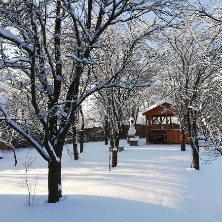 Zrubovy Dom Silvia Villa Trstené Exteriör bild