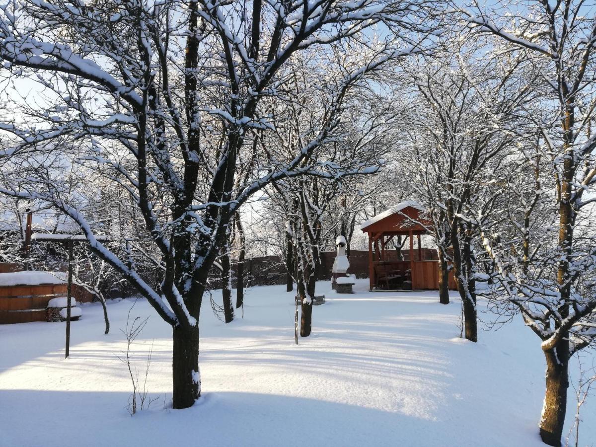 Zrubovy Dom Silvia Villa Trstené Exteriör bild